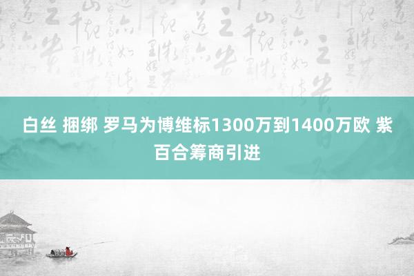 白丝 捆绑 罗马为博维标1300万到1400万欧 紫百合筹商引进