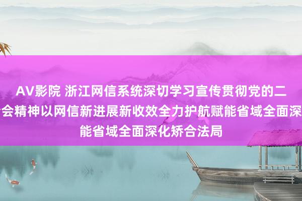 AV影院 浙江网信系统深切学习宣传贯彻党的二十届三中全会精神以网信新进展新收效全力护航赋能省域全面深化矫合法局